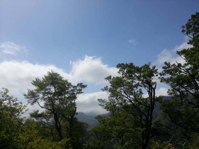 20130518_093750.jpg