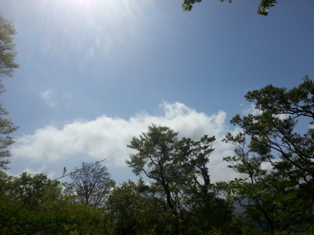 20130518_094325.jpg