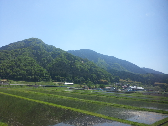 20130523_125624.jpg
