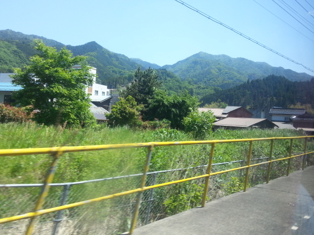 20130523_125924.jpg