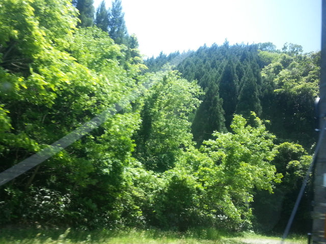 20130523_130043.jpg