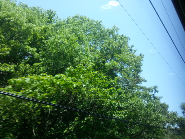 20130523_115132.jpg