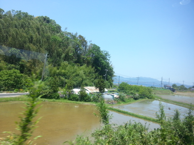 20130523_115220.jpg