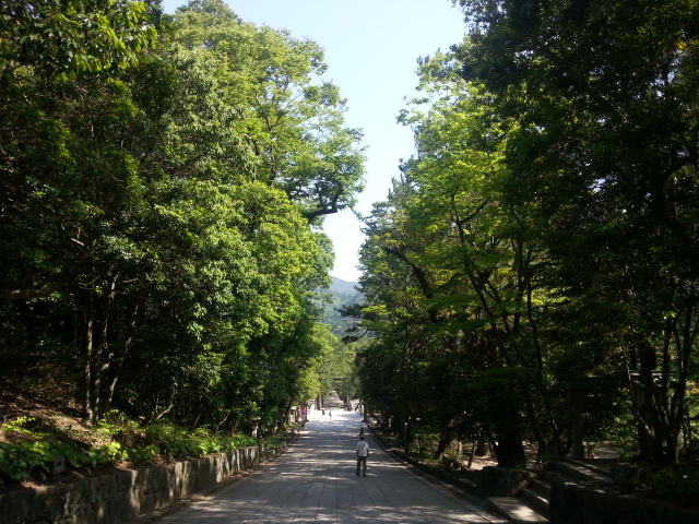 20130522_083730.jpg
