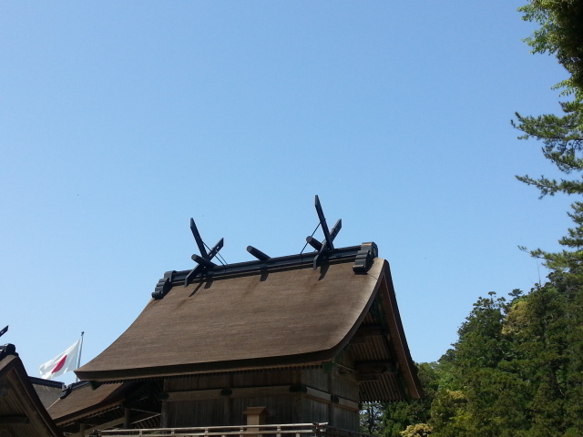 20130522_101137.jpg