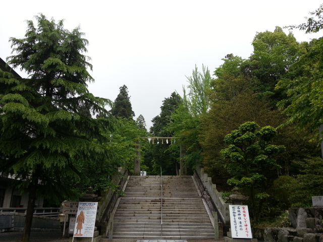 20130519_152456.jpg