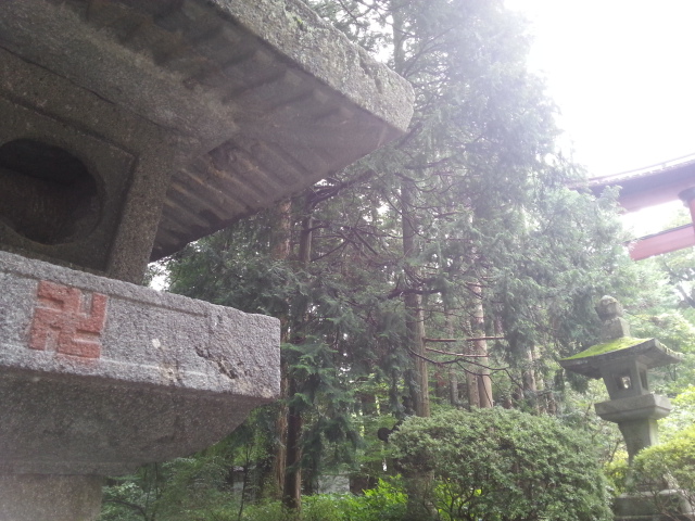 20140830_123035.jpg