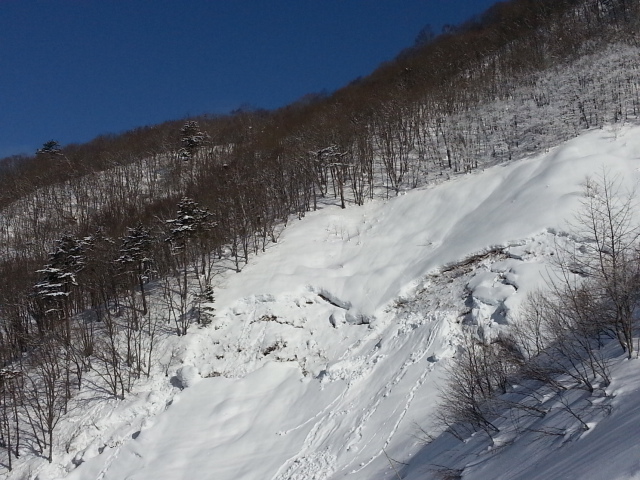 20150129_110537.jpg