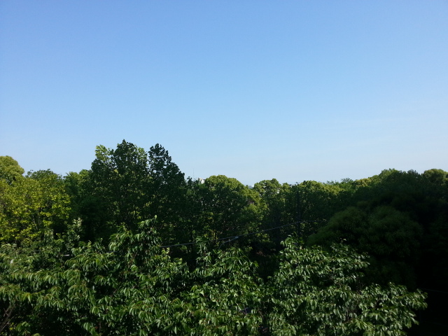 20130515_143421.jpg