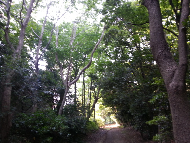20130515_144345.jpg