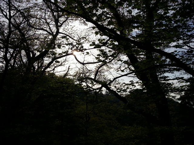 20130517_173916.jpg