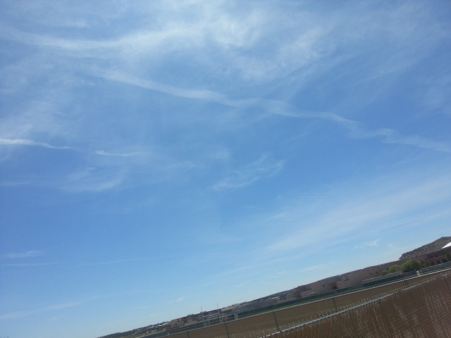 20140517_142242.jpg