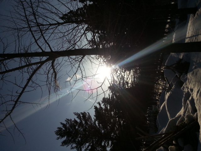 20150225_155132.jpg