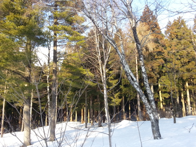 20150225_155252.jpg