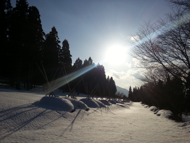 20150225_155407.jpg
