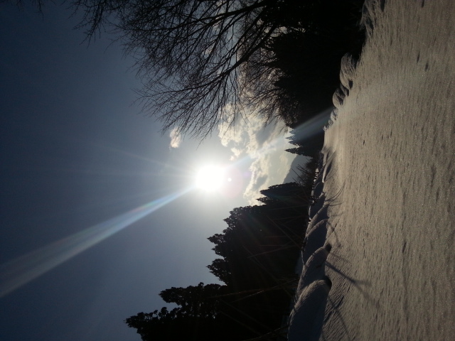 20150225_155417.jpg