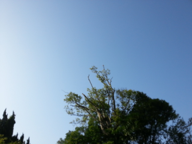 20130522_065528.jpg