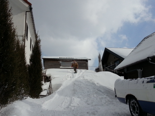 20130224_142647.jpg