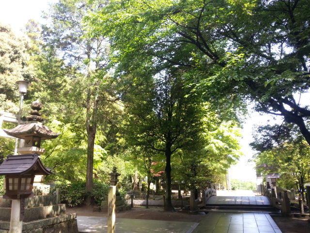 20130520_093539.jpg