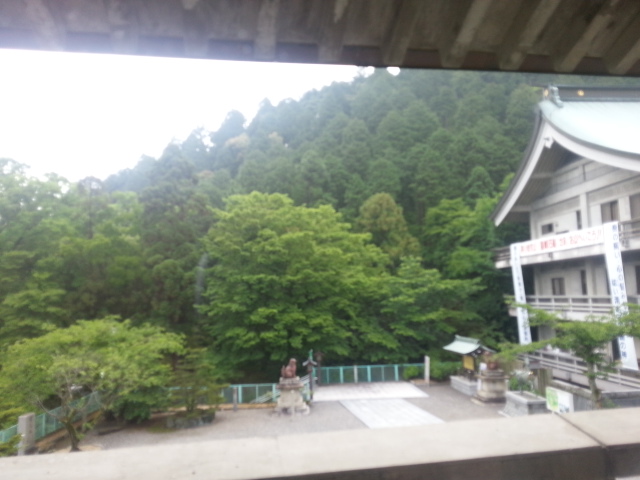 20130520_082008.jpg
