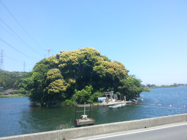 20130523_120658.jpg