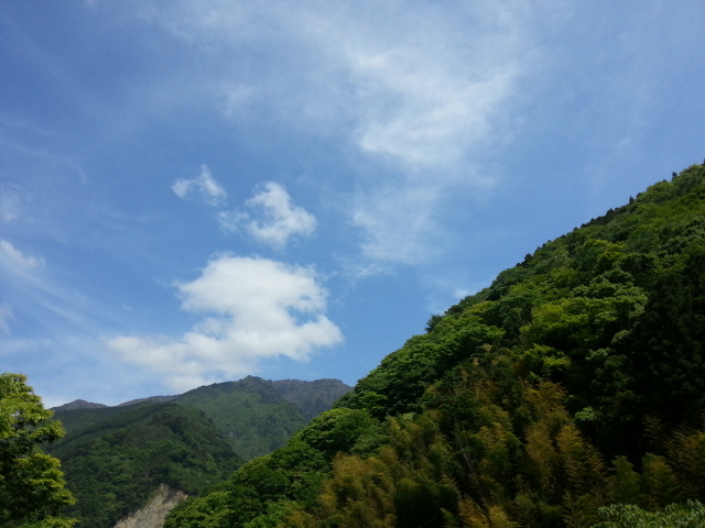 20130518_142054.jpg