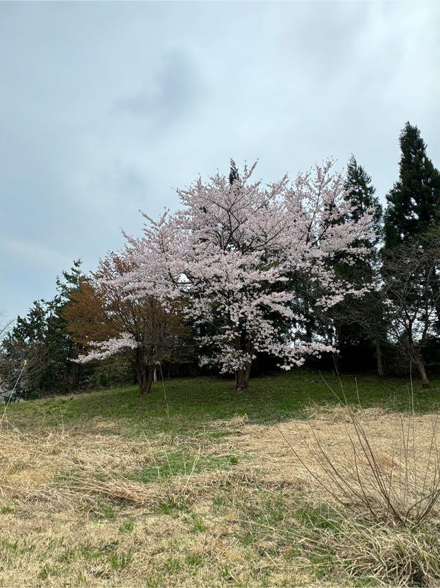 mt-20250429174918.jpg