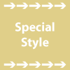 Special Style